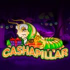 Cashapillar thumbnail